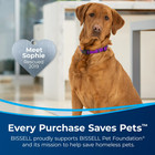 Bissell Powerforce Helix Turbo Pet  Bagless  Upright Vacuum  Pet Friendly