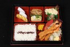 Plastic Bento Box Lacquered 6 Compartment 11 75x9 5 Inch Made In Japan 1594