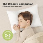 Keababies 2-pack Toddler Pillow 13x18 - Soft Organic Cotton Kids Travel Bed P   