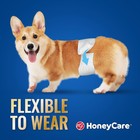 Honey Care All-absorb A26 Male Dog Wrap  50 Count  Small