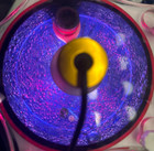 Skimz Mbr127 Microalgea Algea cheato Reactor - Built In Light And Pump - Tested