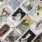 Wild Unknown Tarot
