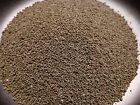 Dutch White Clover Cover Crop Seeds - Non-gmo - Heirloom Lawn Alternative