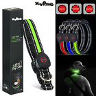Safety Pet Dog Led Collar Usb Rechargeable Night Flashing Light Up Waterproof Us
