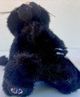 Ganz Webkinz Black Cat Plush Stuffed Animal Toy Sealed Code Tag Hm135 Nwt