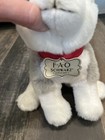 Fao Schwarz Siberian Husky Wolf Puppy Dog 10  Plush Red Collar 2018 Toy Blue Eye