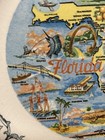 Vintage Florida 9  Porcelain Souvenir State Plate Glazed Everglades Coral Reef