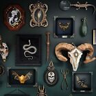 Framed Deaths Head Moth Real Insect Taxidermy Colletion Display Home Decor