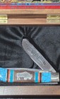 Rare United Cutlery Great White Buffalo By David Yellowhorse Limited Edition 