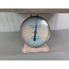 Vintage American Family Nursery Dial Scale Pink Metal W  Baby Tray 8 5 
