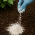 Food Grade Diatomaceous Earth Natural Pest Control Pet Safe Non Toxic