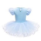Girls Ice Princess Ballet Tutu Dress  Dressy Party Costume  Size 12m-8  Fancy Ou