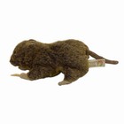 Folkmanis Gopher 10    Puppet Plush Realistic Full Body Stuffed Animal Toy