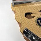 Zippy Zither Japan Vintage 12-string Wooden Instrument- One Broken String