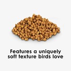 Parakeet And Cockatiel Food Seed Blend For Pet Birds 2 Pound Bag
