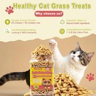 17 6oz Cat Grass Treats Hairball Control Natural Chicken   Catnip Flavor Healthy