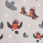 It07301 Lemieux Adult Footsie Riding Boot Socks - Almond Christmas Robins New