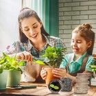 50pcs Peat Pellets For Seedlings - 30mm Seed Starter Pellets Peat Pods