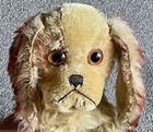 Steiff 15    Long Charly Spaniel Mohair Dog Long F   Ff Button Nice 