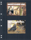  23 25 Scott Value - 2022 Guyana Owls 2 S s Birds South America Cv Mnh Nh Umm