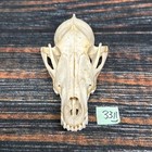 Coyote Skull Animal Mount Man Cave Western Decor Craft Unique Gift Yard Lawn Art