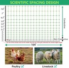 47 5 h X 164 l Portable Poultry Netting Electric Fence For Chickens ducks geese