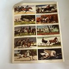The Golden Stamp Book Of Horses By Eugene Rachlis  Sam Savitt  1971  Stamps