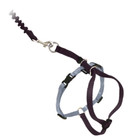 Petsafe Come With Me Kitty And Bungee Adjustable Leash Cat Harness - Blue
