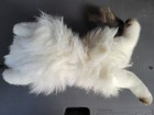 Russ Vintage Yomiko Himalayan Persian Cat Plush Stuffed Animal Realistic 26   