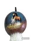 Hand Painted Dance Gourd Rattle  ceremonial  santa Fe Style  New   Horse