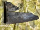 British Lee Enfield Buttplate Butt Stock Remains Relic Market Garden Ww2 Wwii Uk