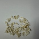 Lot Of 50 Assorted Small Coyote Teeth Real Cleaned Taxidermy Weird Odd Goth 3852