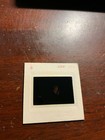 Engelbert Humperdinck 35mm Slide  6 1972 1970s Concert Vtg Amateur Photo