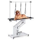 Hydraulic Pet Dog Grooming Table Max Load 350lbs W adjustable Overhead Arm White