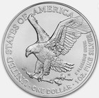 2025- 1 Oz American Silver Eagle Coin Bu 