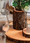 Large Wood Slices  13-14 Inch   Rustic Wedding Centerpieces