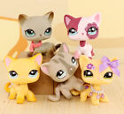 5pcs Pet Shop Lps Shorthair Cat Kitten Kittty With Lps Accessories Who Love Lps