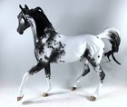Peter Stone  sihu  Ooak Black Appaloosa Arabian Mare