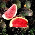 20 Moon And Stars Red Cherokee Watermelon    Seeds non-gmo Free Shipping 
