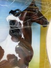 Breyer 2021 Saddlebred Stallion Pinto Livingston Flagship Special Le New In Box
