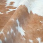 Genuine Beige   White Cowhide Rug Natural Hair 6x6 Feet Cowhides Cow Hide Skin