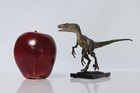 Dino Dream Tyrannosaurus   Velociraptor Set Statue Colorful Dinosaur Model Decor