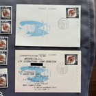 Ryukyu Islands  42 Phoenix New Year Of 1958  8 Blks Of 4  Mnh  1957  2 Postcards
