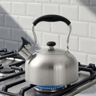 Mainstass Silver Induction Compatible Whistle Tea Kettle 1 8 Liter Stainless