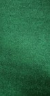 Putting Green Indoor Putt Golf Ball Practice Par 3 Mat 9 Professional Training 