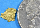 Pure Gold Nugget Alaskan Yukon Bc Natural Small Rock Genuine Raw Fine 22k  2g