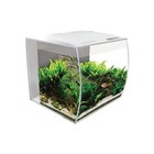 Stylish 9 Gallon Fish Tank Kit W  Led Lights Filtration System Aquatic Life New