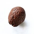 Brown Dinosaur Egg With Blue Tyrannosaurus Inside Stress Relief Squeeze Ball 