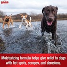 Sulfodene Hot Spot   Itch Relief Medicated Spray For Dog 8oz