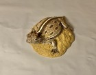 Life Like Horned Toad Lizard Figurine Texas Horny Toad Correct Size 